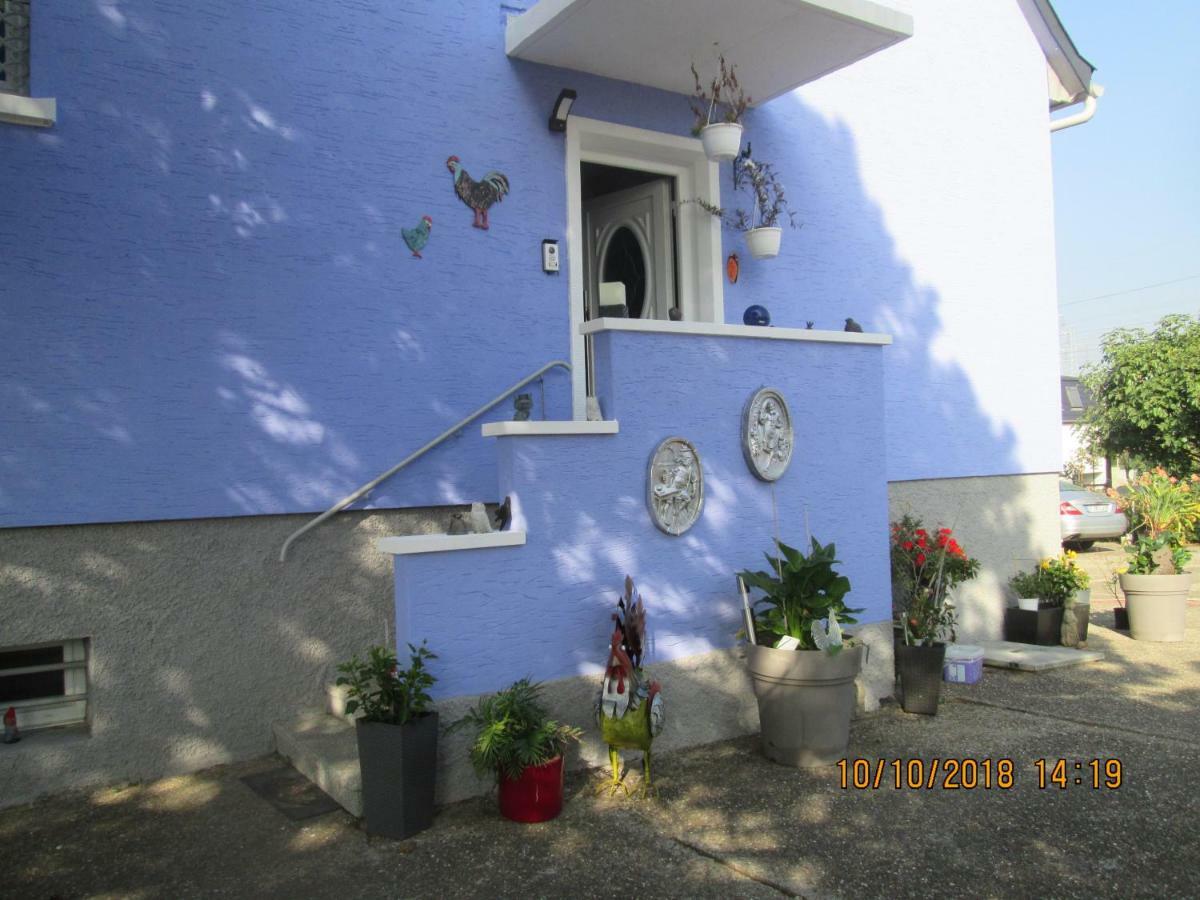 Gite Du Coq Lingolsheim Exterior foto